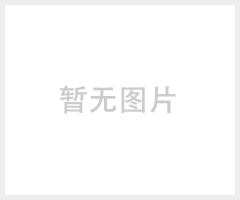 脱*蝶阀2507 脱*蝶阀1.4529