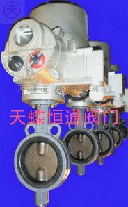 1.4529蝶阀WD941J